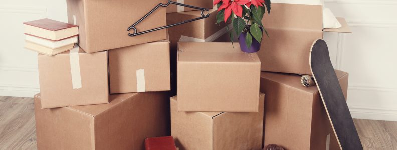 Cómo organizar cajas para una mudanza - Mudanzas en Zaragoza
